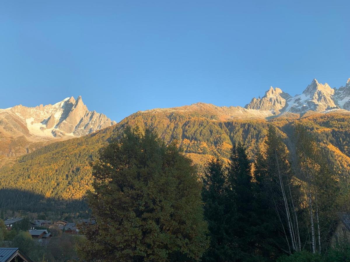 Chalet Le Point De Vue Chamonix Ngoại thất bức ảnh